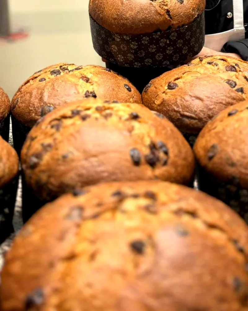 Panettoni al cioccolato fondente appena sfornati, ancora nei pirottini